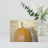 0 POSTKARTE (Stehend Vorderseite)