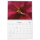 0 Stiefmütterchen, hübsches Stiefmütterchen Kalender (Feb 2027)