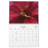 0 Stiefmütterchen, hübsches Stiefmütterchen Kalender (Feb 2026)