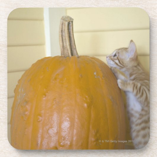 0 UNTERSETZER (Vorderseite)