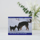 0WCB_boy, Postkarte (Stehend Vorderseite)