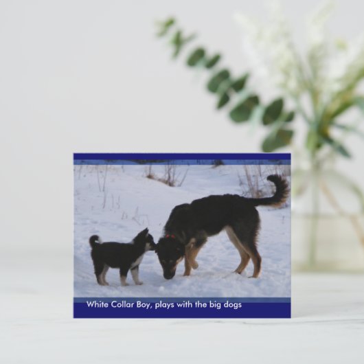 0WCB_boy, Postkarte (Stehend Vorderseite)