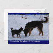 0WCB_boy, Postkarte (Vorne/Hinten)