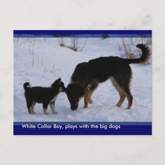 0WCB_boy, Postkarte (Vorderseite)