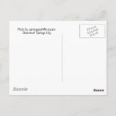 100085 POSTKARTE (Rückseite)