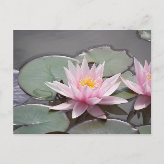 100085 POSTKARTE (Vorderseite)