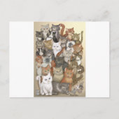 1000 Katzen Postkarte (Vorderseite)