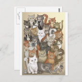 1000 Katzen Postkarte (Vorne/Hinten)