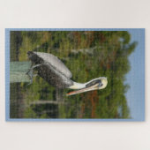 1000 Stück Brown Pelican Puzzle (Horizontal)