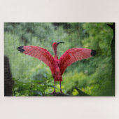 1000 Stück Flamingo Puzzle (Horizontal)