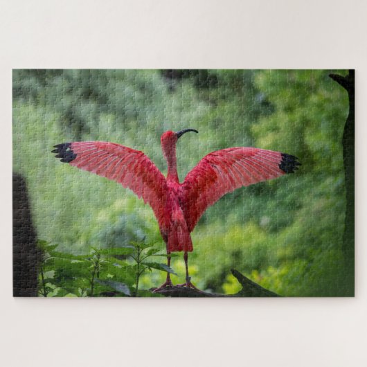 1000 Stück Flamingo Puzzle (Horizontal)