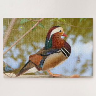 1000 Stück Mandarin duck Jigsaw Puzzle