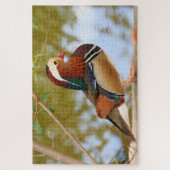 1000 Stück Mandarin duck Jigsaw Puzzle (Vertikal)