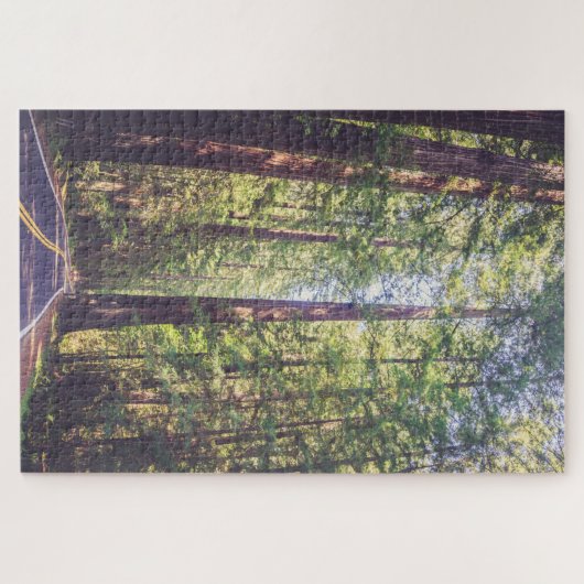 1000 Stück Puzzle Humboldt Trees Redwood Forest (Horizontal)
