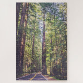 1000 Stück Puzzle Humboldt Trees Redwood Forest (Vertikal)