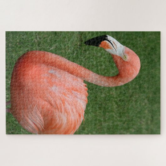 1000 Stück Rosa Flamingo Puzzle (Horizontal)