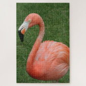 1000 Stück Rosa Flamingo Puzzle (Vertikal)