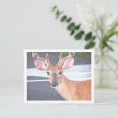 100606 POSTKARTE (Stehend Vorderseite)