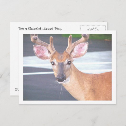 100606 POSTKARTE (Vorne/Hinten)