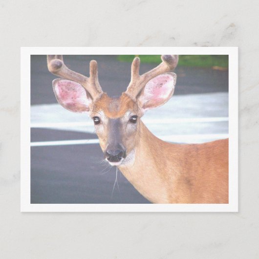 100606 POSTKARTE (Vorderseite)