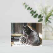 100_0305, Black Beauty, what do you see? Postkarte (Stehend Vorderseite)