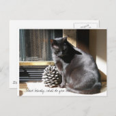 100_0305, Black Beauty, what do you see? Postkarte (Vorne/Hinten)