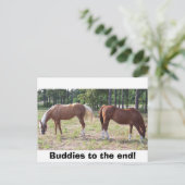 100_0350, Buddies bis zum Ende! Postkarte (Stehend Vorderseite)