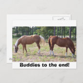 100_0350, Buddies bis zum Ende! Postkarte (Vorne/Hinten)