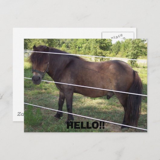 100_0376, HELLO!! POSTKARTE (Vorne/Hinten)