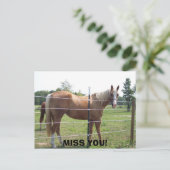 100_0415, FEHLT EUCH! POSTKARTE (Stehend Vorderseite)