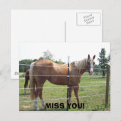 100_0415, FEHLT EUCH! POSTKARTE (Vorne/Hinten)