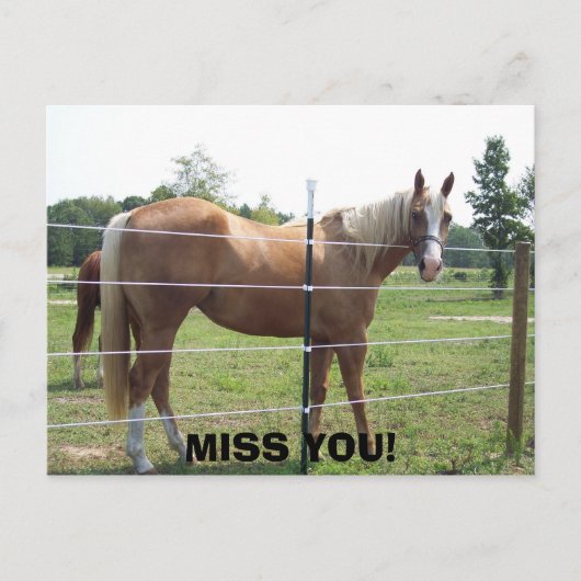 100_0415, FEHLT EUCH! POSTKARTE (Vorderseite)