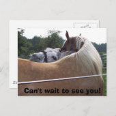 100_0416, Kann es nicht warten, Sie zu sehen! Postkarte (Vorne/Hinten)