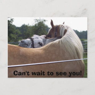 100_0416, Kann es nicht warten, Sie zu sehen! Postkarte