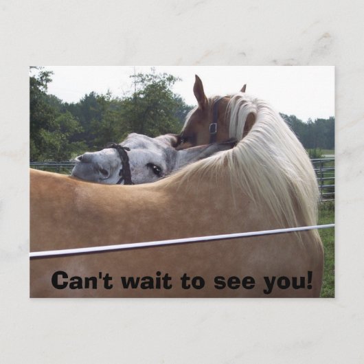 100_0416, Kann es nicht warten, Sie zu sehen! Postkarte (Vorderseite)