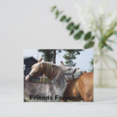 100_0424, Freunde für immer! Postkarte (Stehend Vorderseite)