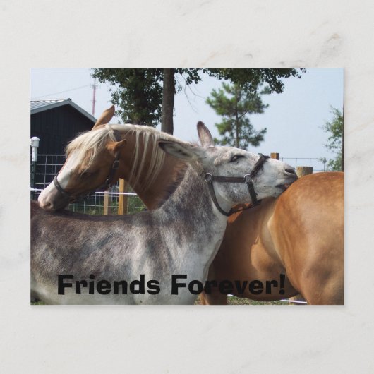 100_0424, Freunde für immer! Postkarte (Vorderseite)