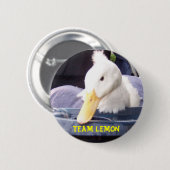 100_0517.jpg .w560h420, TEAM-ZITRONE Button (Vorne & Hinten)