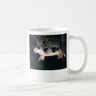100_0557, benötige ich einen Tasse Kaffee!