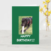 100_0695, GLÜCKLICH GEBURTSTAG!!! KARTE (Gelbe Blume)