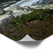 100_0878 POSTER (Ecke)