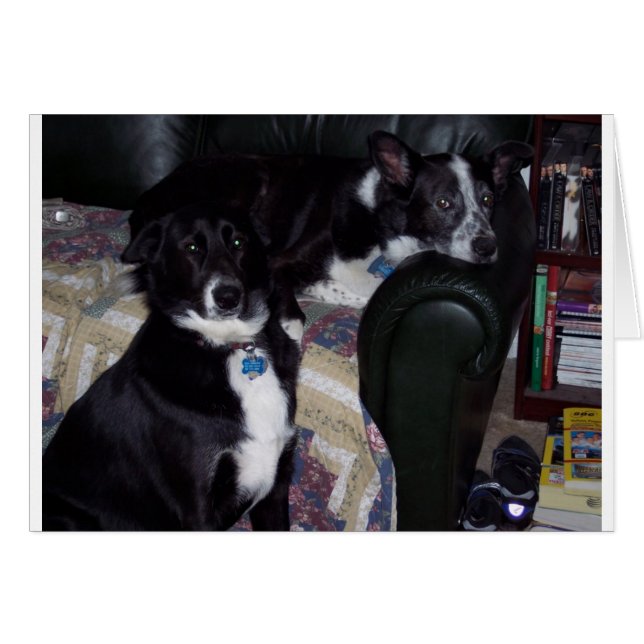 100_1642 (Vorderseite (Horizontal))