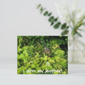 100_1805, ich vermisse meine Mutter! Postkarte (Stehend Vorderseite)