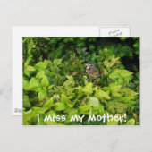 100_1805, ich vermisse meine Mutter! Postkarte (Vorne/Hinten)