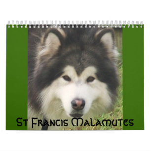 100_2382, St FrancisMalamutes Kalender