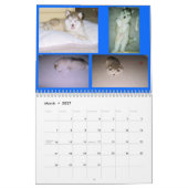 100_2382, St FrancisMalamutes Kalender (Mär 2027)