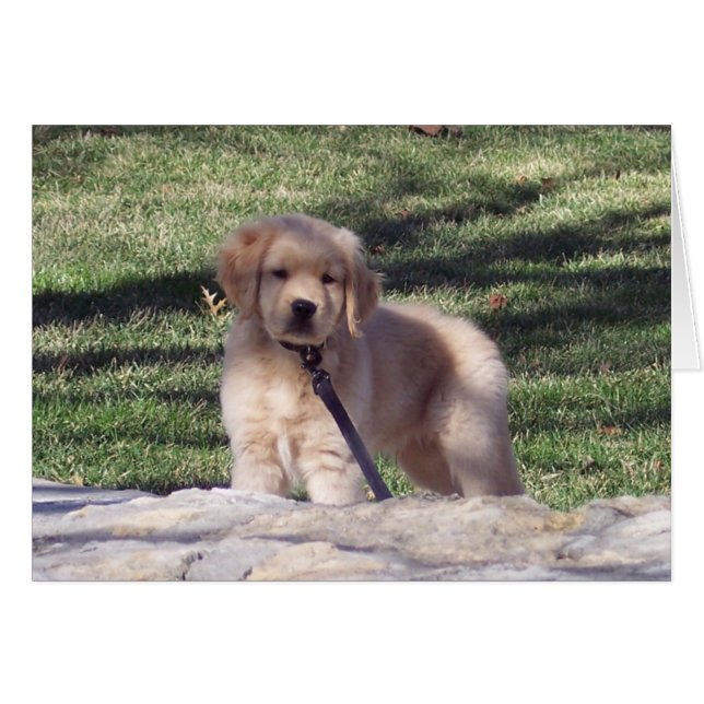 100_2426 (Vorderseite (Horizontal))