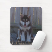 100_2932, St FrancisMalamutes Mousepad (Mit Mouse)