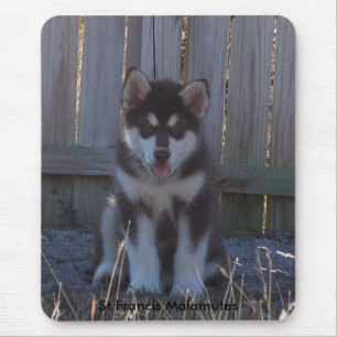 100_2932, St FrancisMalamutes Mousepad