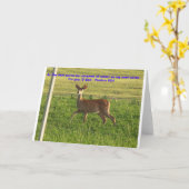 100_3149, Als die Hirschhose für Wasserläufe... Karte (Gelbe Blume)